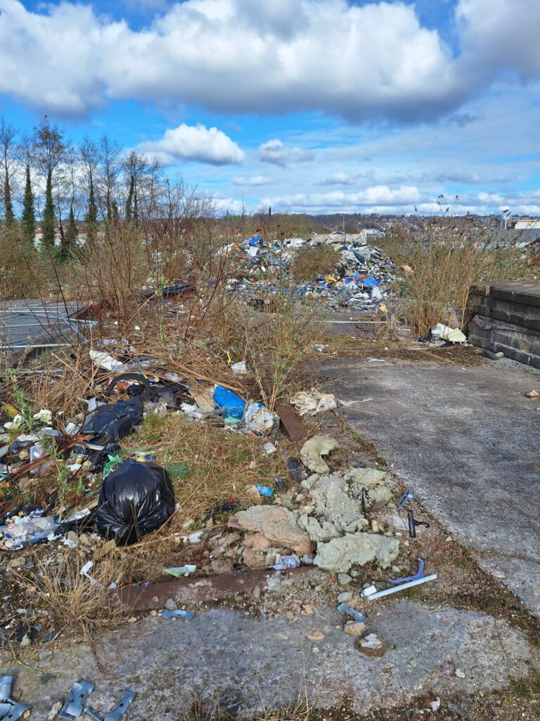 Land remediation company Bedfordshire